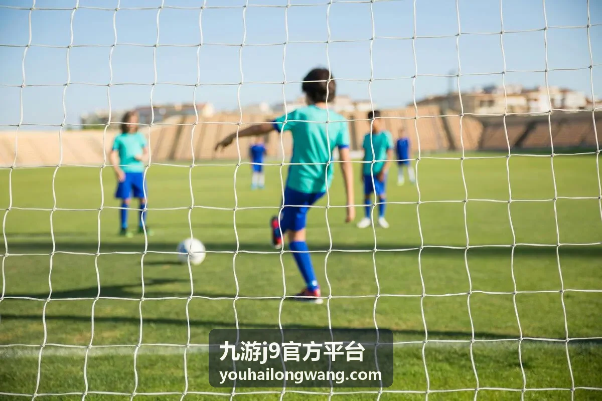 九游j9官方平台帮助指南内容封面